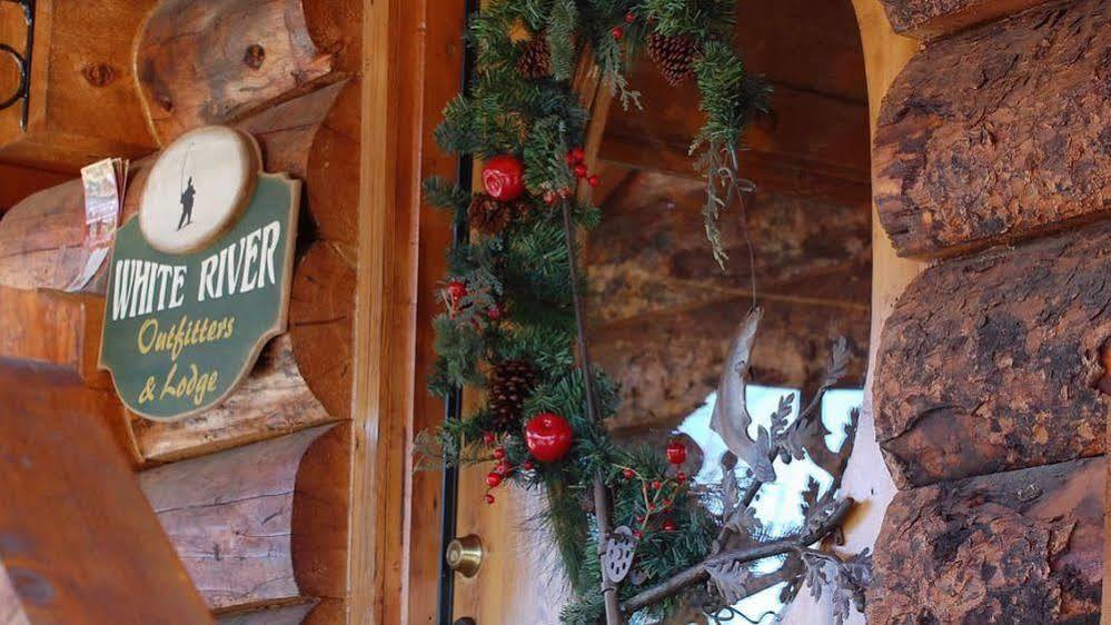 White River Lodge Bed And Breakfast Ridgedale エクステリア 写真